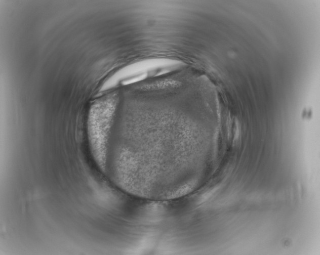 X0000090420080200708101952