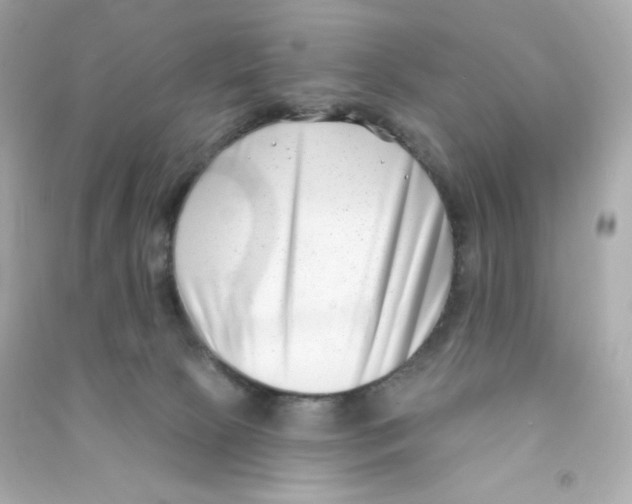 X0000090420081200708101952