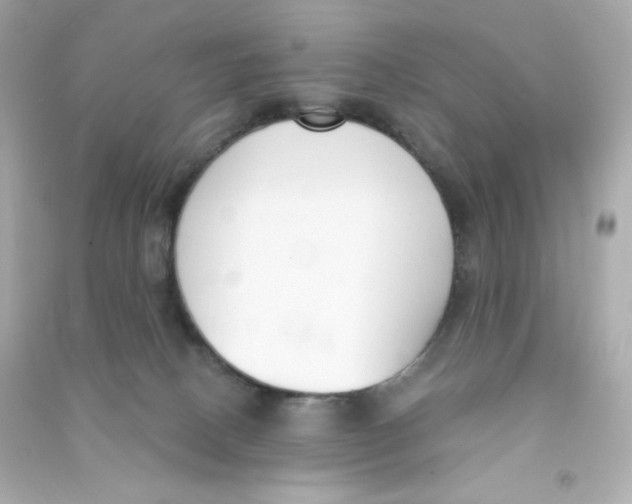 X0000090420082200708101952