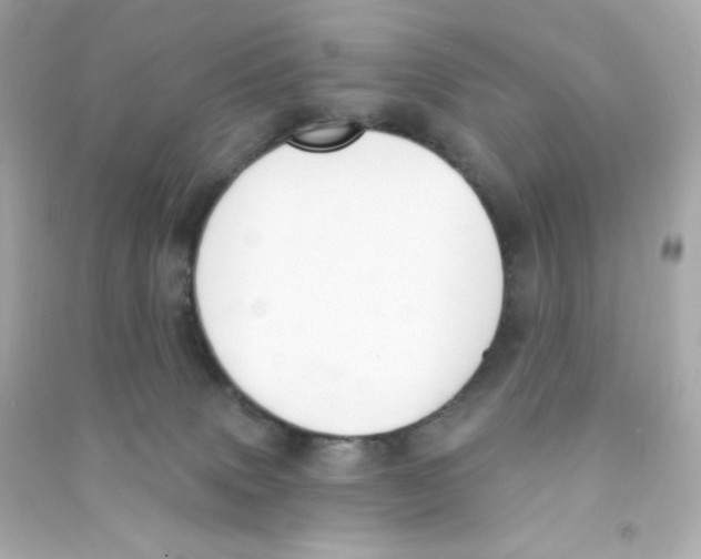 X0000090420083200708101952