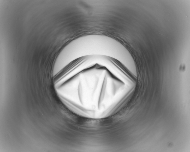 X0000090420084200708101952