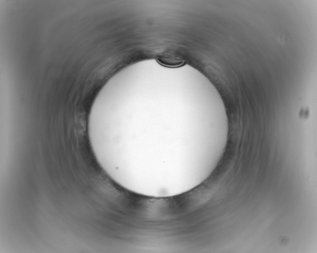 X0000090420085200708101952