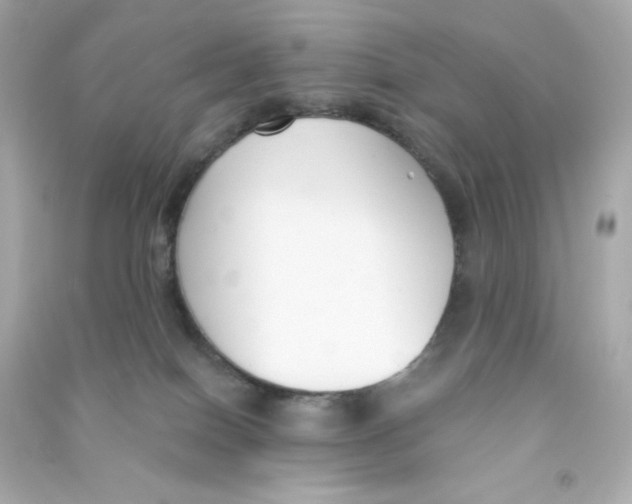 X0000090420086200708101952