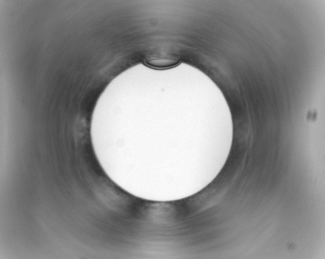 X0000090420087200708101952