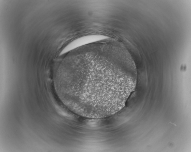 X0000090420088200708101952