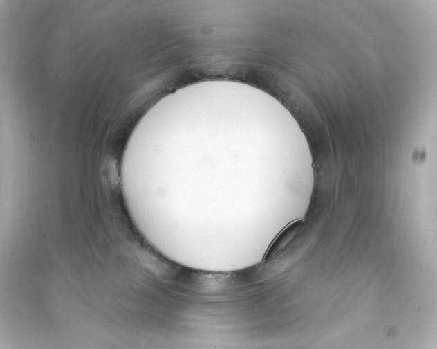 X0000090420089200708101952