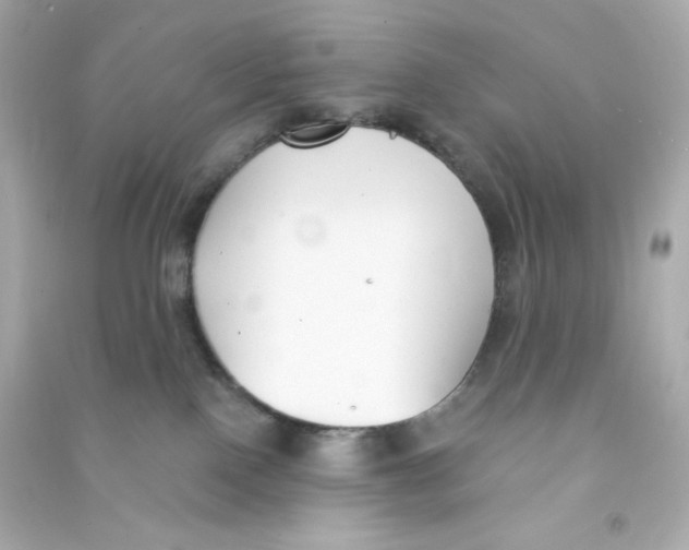 X0000090420090200708101952