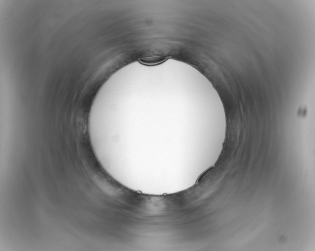 X0000090420091200708101952