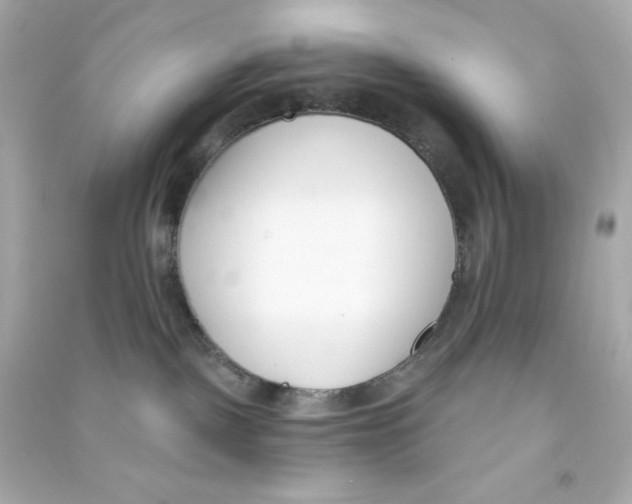 X0000090420093200708101952