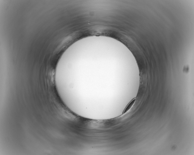 X0000090420094200708101952