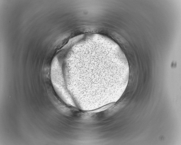 X0000090420096200708101952