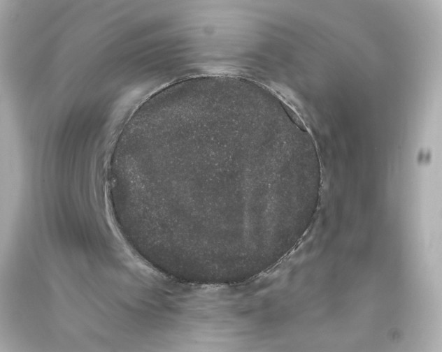 X0000090420097200708101952