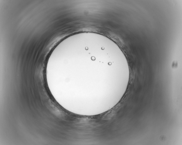 X0000090420098200708101952