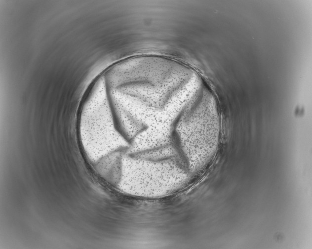 X0000090420099200708101952