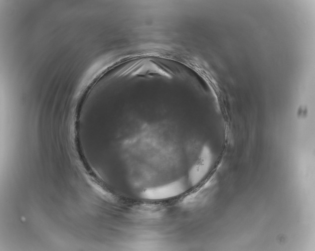 X0000090420101200708101952