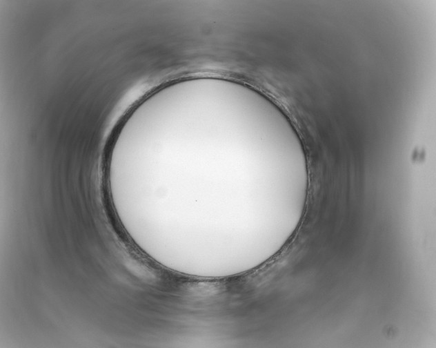 X0000090420102200708101952