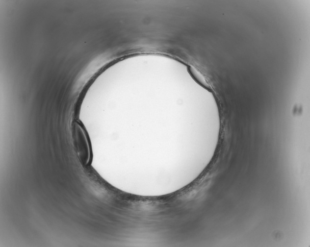 X0000090420103200708101952