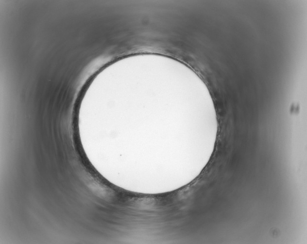X0000090420104200708101952
