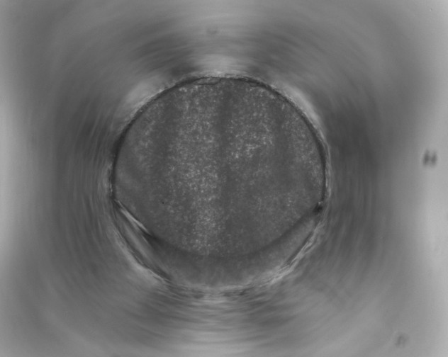 X0000090420105200708101952