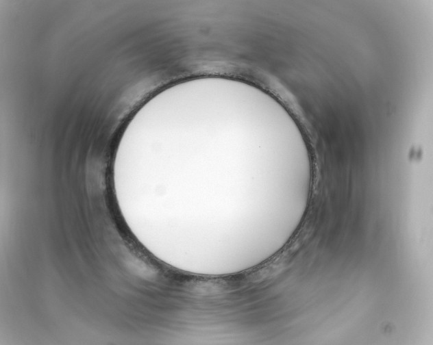 X0000090420106200708101952
