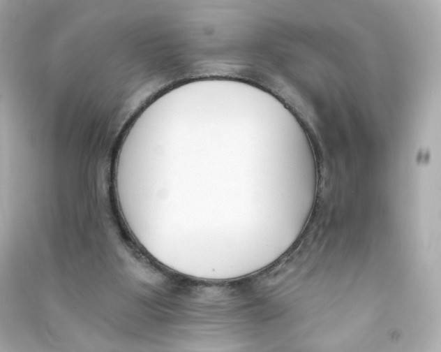 X0000090420107200708101952