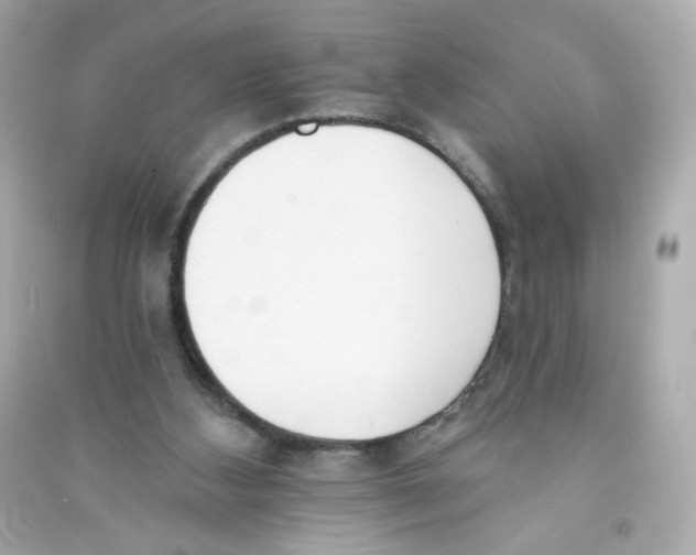 X0000090420108200708101952