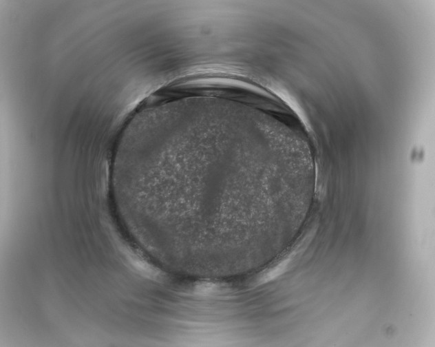X0000090420109200708101952