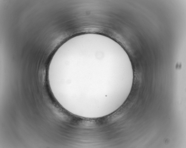 X0000090420110200708101951