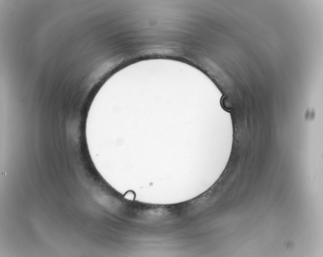 X0000090420112200708101951