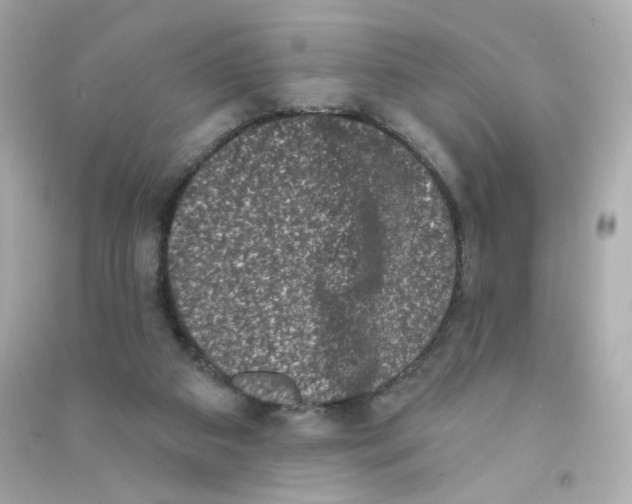 X0000090420113200708101951