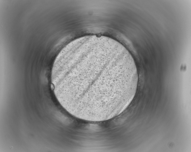 X0000090420114200708101951