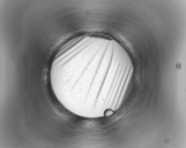 X0000090420115200708101951