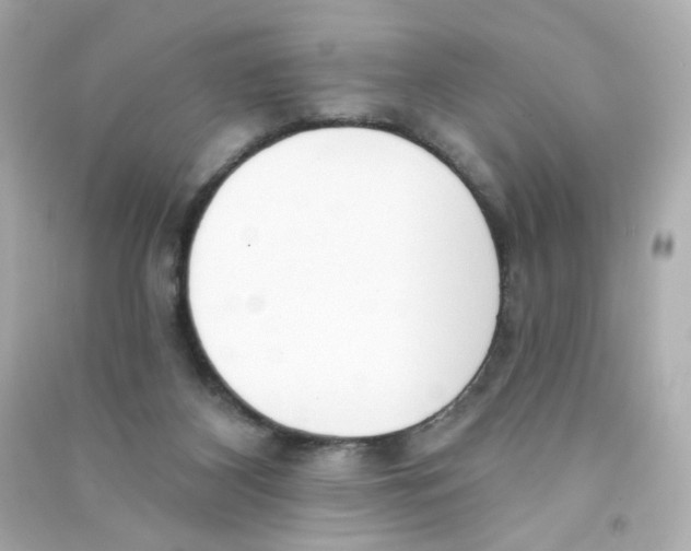 X0000090420116200708101951