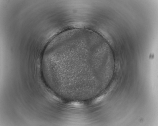 X0000090420117200708101951