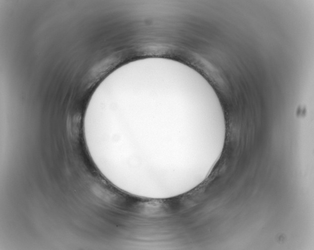 X0000090420118200708101951