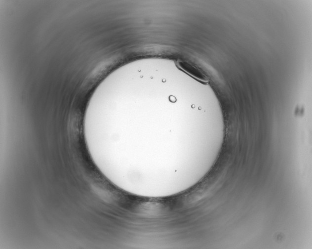 X0000090420119200708101951