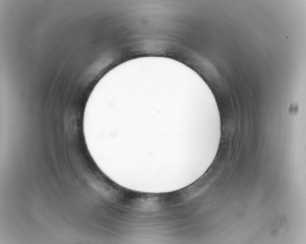 X0000090420120200708101951