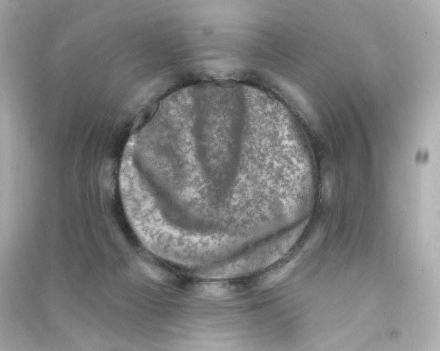 X0000090420121200708101951