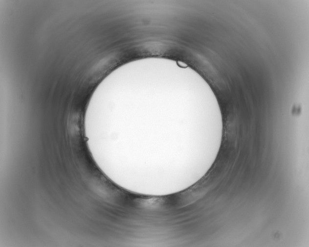 X0000090420122200708101951
