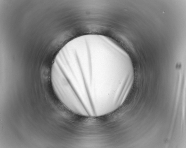 X0000090420123200708101951