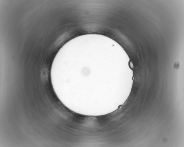X0000090420124200708101951