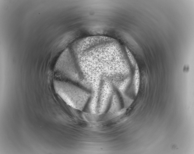 X0000090420125200708101951