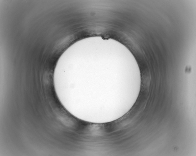 X0000090420126200708101951