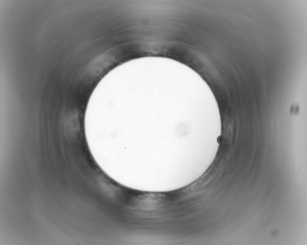 X0000090420128200708101951