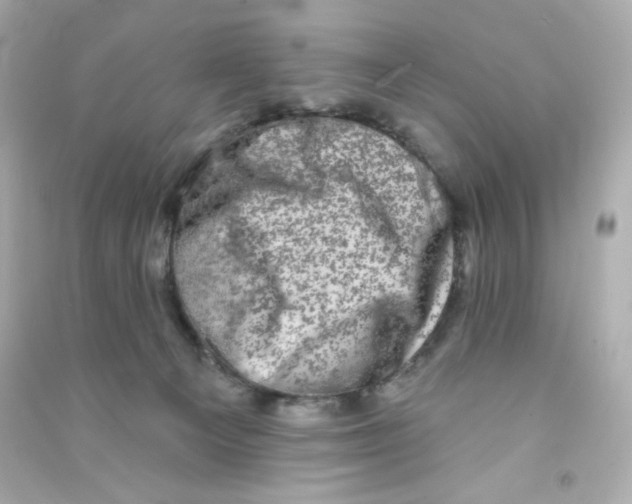 X0000090420129200708101951
