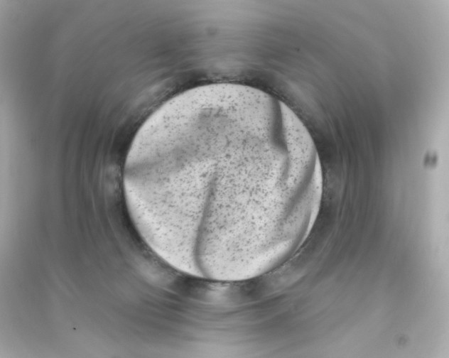 X0000090420130200708101951