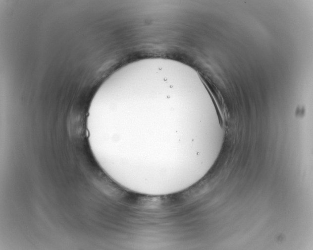 X0000090420131200708101951
