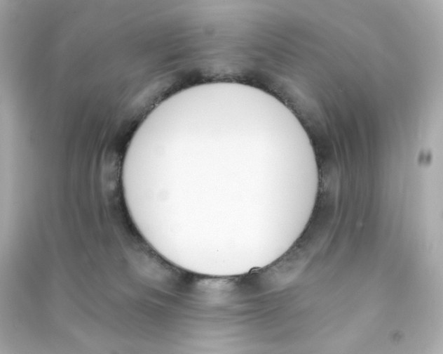 X0000090420133200708101951