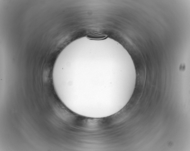 X0000090420134200708101951