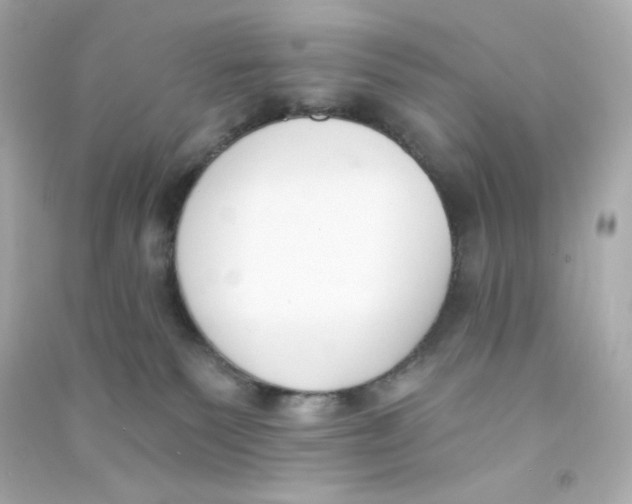 X0000090420135200708101951